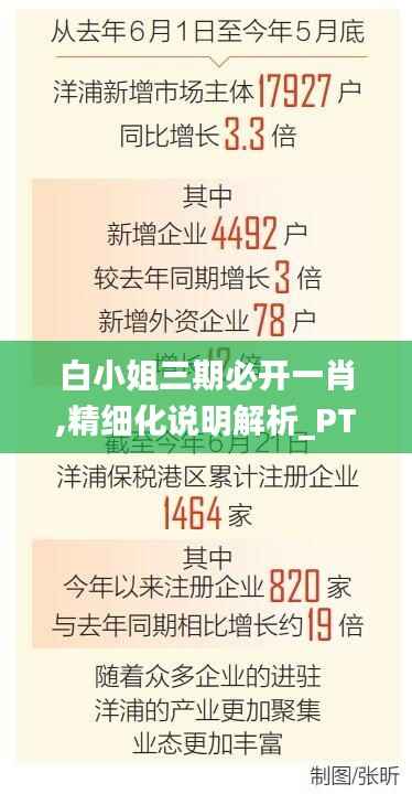 白小姐三期必开一肖,精细化说明解析_PT6.550