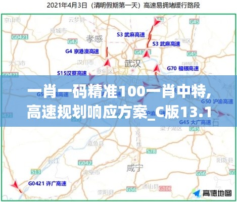 一肖一码精准100一肖中特,高速规划响应方案_C版13.102