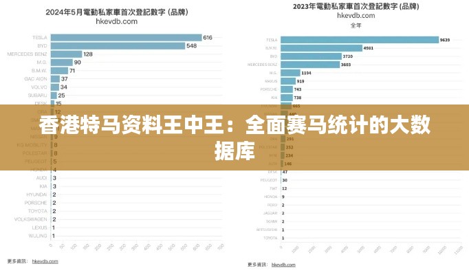 香港特马资料王中王：全面赛马统计的大数据库