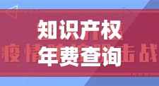 知识产权年费查询网：一站式服务，助您轻松管理知识产权