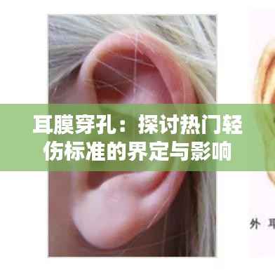 夯雀儿先飞 第6页