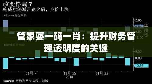 管家婆一码一肖：提升财务管理透明度的关键