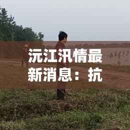 沅江汛情最新消息：抗洪抢险，守护家园