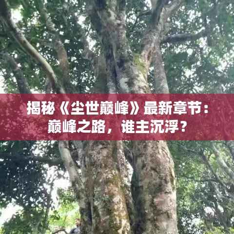 揭秘《尘世巅峰》最新章节：巅峰之路，谁主沉浮？