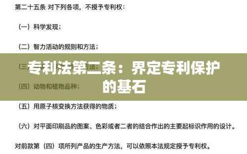 专利法第二条：界定专利保护的基石