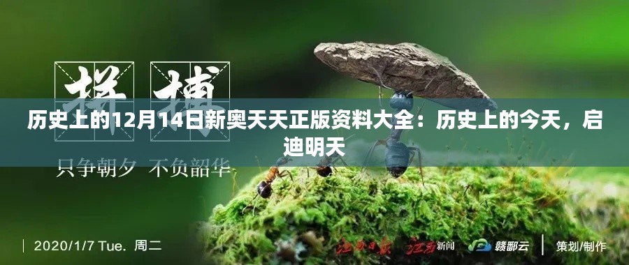 历史上的12月14日新奥天天正版资料大全：历史上的今天，启迪明天