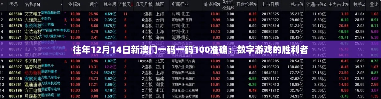 往年12月14日新澳门一码一码100准确：数字游戏的胜利者