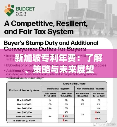 新加坡专利年费：了解、策略与未来展望