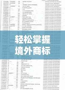 轻松掌握境外商标注册查询技巧