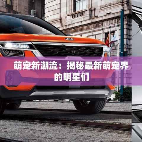 萌宠新潮流：揭秘最新萌宠界的明星们