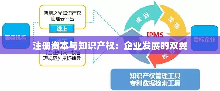 注册资本与知识产权：企业发展的双翼