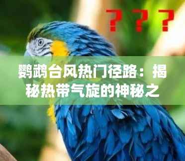 鹦鹉台风热门径路：揭秘热带气旋的神秘之旅