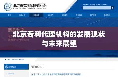 北京专利代理机构的发展现状与未来展望