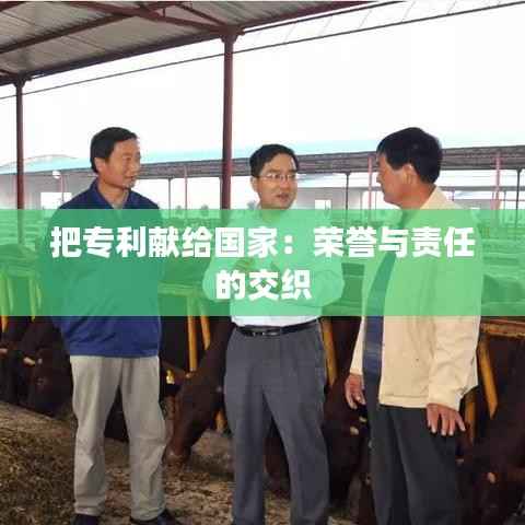 把专利献给国家：荣誉与责任的交织