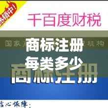商标注册每类多少钱：全面解析各类商标注册费用