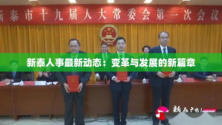 新泰人事最新动态：变革与发展的新篇章