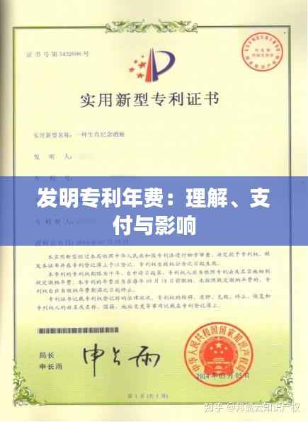 发明专利年费：理解、支付与影响