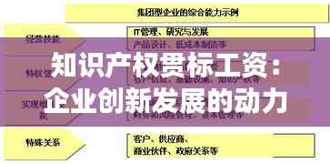 知识产权贯标工资：企业创新发展的动力源泉