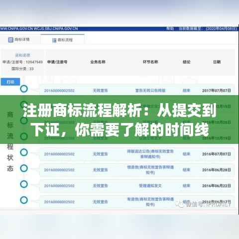 注册商标流程解析：从提交到下证，你需要了解的时间线