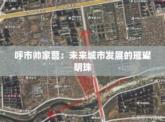 人贵自立 第6页