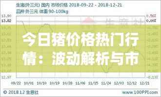 下马看花 第5页