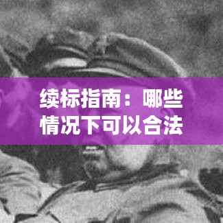 续标指南：哪些情况下可以合法进行续标操作
