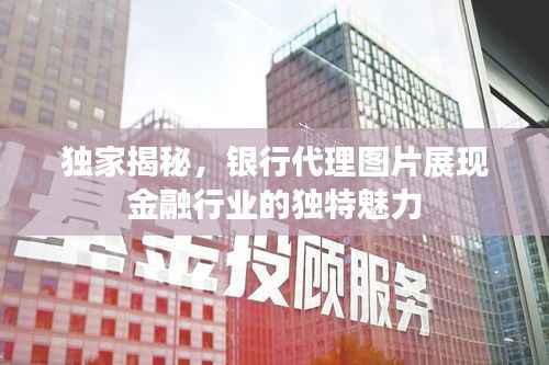 独家揭秘，银行代理图片展现金融行业的独特魅力