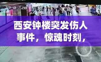 西安钟楼突发伤人事件，惊魂时刻，紧急救援行动启动