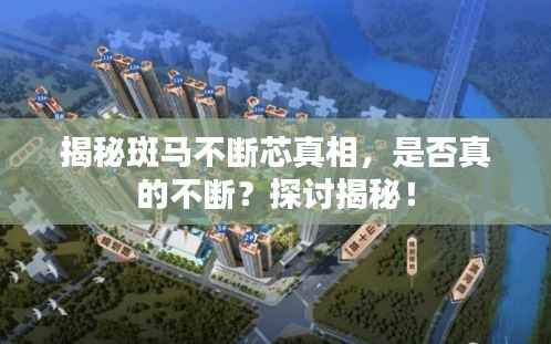 出就外傅 第4页