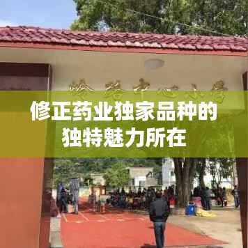 小鸟依人 第6页