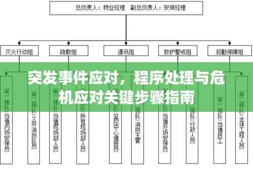 突发事件应对，程序处理与危机应对关键步骤指南
