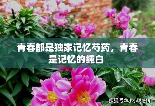 温文尔雅 第5页