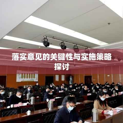落实意见的关键性与实施策略探讨