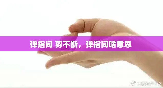 风流儒雅 第4页