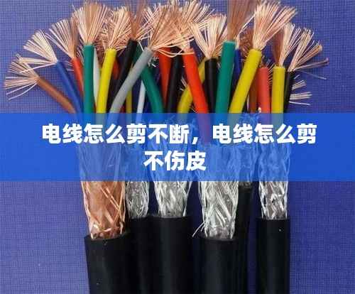 坌鸟先飞 第5页