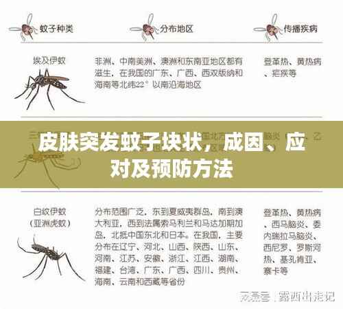 皮肤突发蚊子块状，成因、应对及预防方法
