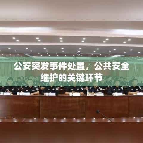 公安突发事件处置，公共安全维护的关键环节