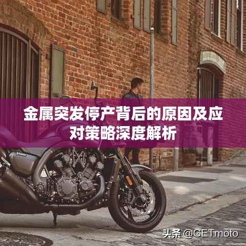 金属突发停产背后的原因及应对策略深度解析