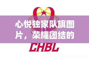 心悦独家队旗图片，荣耀团结的象征，吸引目光的标题！