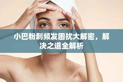 小鸟伊人 第5页