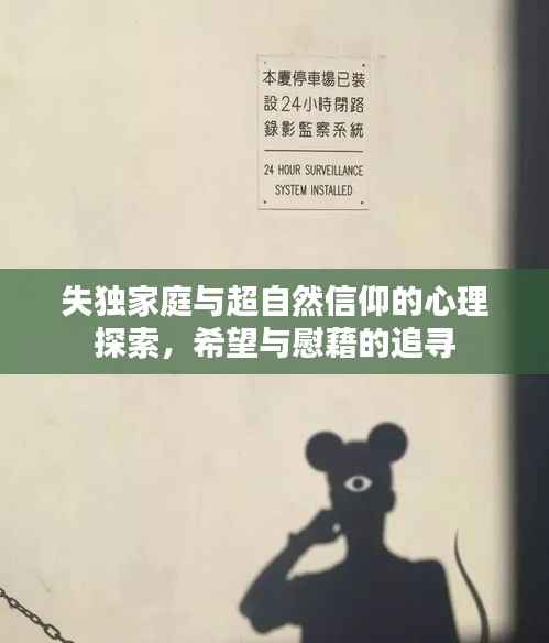 失独家庭与超自然信仰的心理探索，希望与慰藉的追寻