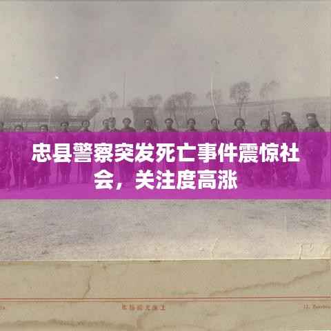 就正有道 第5页