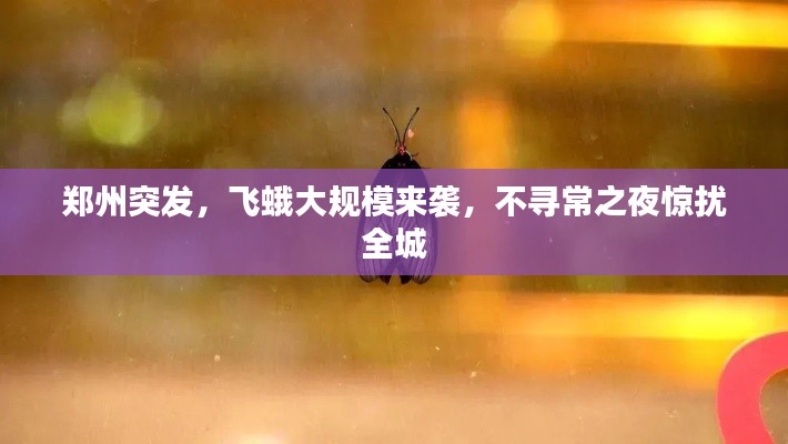 眉清目秀 第5页