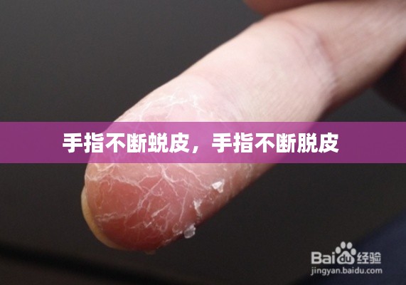 铺张扬厉 第4页