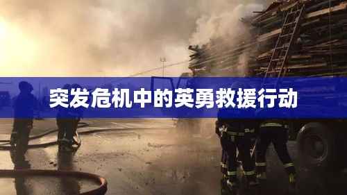 文质彬彬 第5页