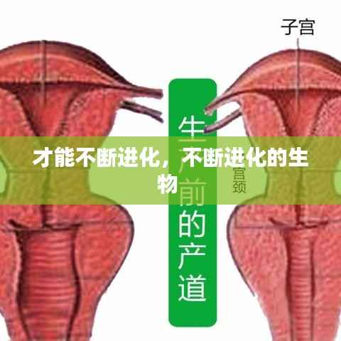 才能不断进化，不断进化的生物 