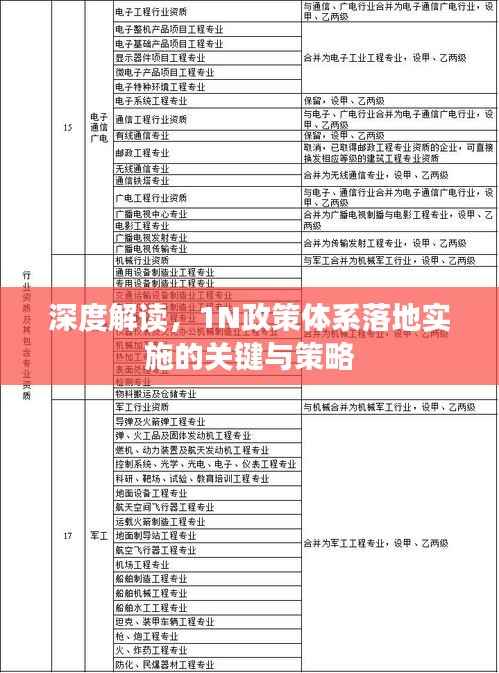 深度解读，1N政策体系落地实施的关键与策略