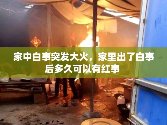 难能可贵 第6页