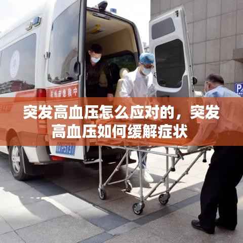 饭来张口 第4页