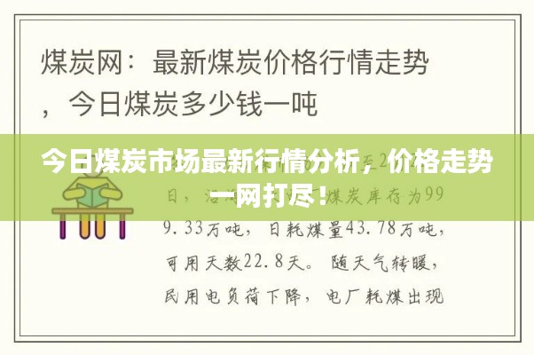 今日煤炭市场最新行情分析，价格走势一网打尽！